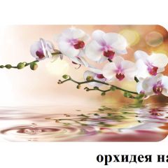 БОСТОН - 2 опоры Брифинг в Кировграде - kirovgrad.mebel24.online | фото 4