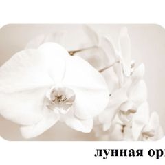 БОСТОН - 2 опоры Триумф в Кировграде - kirovgrad.mebel24.online | фото 18