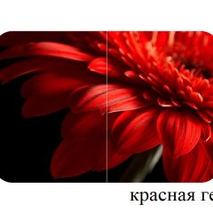 БОСТОН - 2 опоры Триумф в Кировграде - kirovgrad.mebel24.online | фото 50