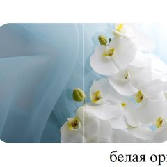 БОСТОН - 2 опоры Триумф в Кировграде - kirovgrad.mebel24.online | фото 52