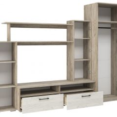 Гостиная Эмма (Дуб Крафт серый/белый) в Кировграде - kirovgrad.mebel24.online | фото 3