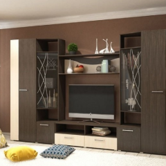 Стенка Гамма (без зеркал) в Кировграде - kirovgrad.mebel24.online | фото