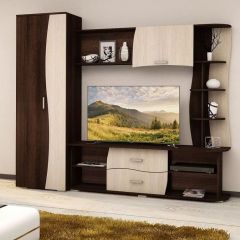 Гостиная ГАРМОНИЯ-3 (ЦРК.ГРМ.03) в Кировграде - kirovgrad.mebel24.online | фото 3