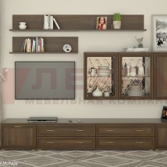 Гостиная Карина Композиция 10 (Акация Молдау) в Кировграде - kirovgrad.mebel24.online | фото