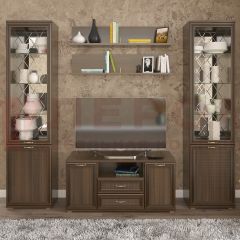 Гостиная Карина Композиция 13 (Акация Молдау) в Кировграде - kirovgrad.mebel24.online | фото