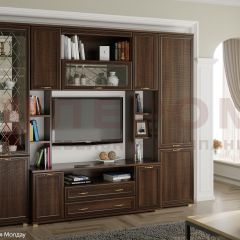 Гостиная Карина Композиция 2 (Акация Молдау) в Кировграде - kirovgrad.mebel24.online | фото