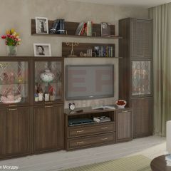Гостиная Карина Композиция 22 (Акация Молдау) в Кировграде - kirovgrad.mebel24.online | фото