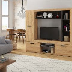 Гостиная Оскар 3 (Дуб золотой /Венге) в Кировграде - kirovgrad.mebel24.online | фото