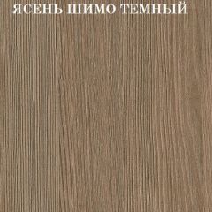 Кровать 2-х ярусная с диваном Карамель 75 (Биг Бен) Ясень шимо светлый/темный в Кировграде - kirovgrad.mebel24.online | фото 5