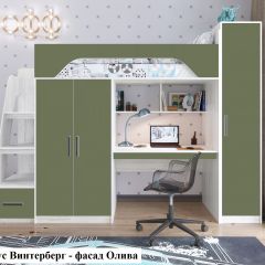 Кровать-чердак Тея + Шкаф-Пенал Тея в Кировграде - kirovgrad.mebel24.online | фото 3