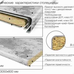 Кухонный фартук со столешницей (А-011) в едином стиле (3050 мм) в Кировграде - kirovgrad.mebel24.online | фото 6