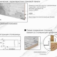 Кухонный фартук со столешницей (А-014) в едином стиле (3050 мм) в Кировграде - kirovgrad.mebel24.online | фото 6