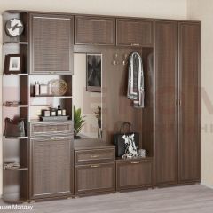 Прихожая Карина композиция 7 (Акация Молдау) в Кировграде - kirovgrad.mebel24.online | фото