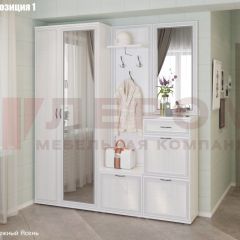 Прихожая Карина (модульная) в Кировграде - kirovgrad.mebel24.online | фото 3