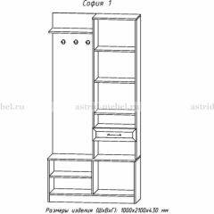 Прихожая София 1 в Кировграде - kirovgrad.mebel24.online | фото 3