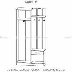 Прихожая София 8 в Кировграде - kirovgrad.mebel24.online | фото 2