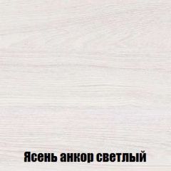 Шкаф 2-х створчатый МСП-1 (Ясень Анкор светлый) в Кировграде - kirovgrad.mebel24.online | фото 4