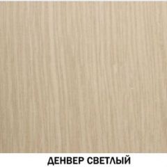 Шкаф для одежды №609 "Инна" Денвер светлый (*без полок) в Кировграде - kirovgrad.mebel24.online | фото 2
