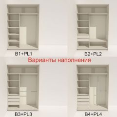 Шкаф-купе 1400 серии SOFT D6+D6+B2+PL3 (2 ящика+2штанги) профиль «Капучино» в Кировграде - kirovgrad.mebel24.online | фото 6
