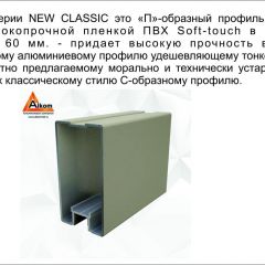 Шкаф-купе 1500 серии NEW CLASSIC K4+K4+B2+PL4 (2 ящика+F обр. штанга) профиль «Капучино» в Кировграде - kirovgrad.mebel24.online | фото 18