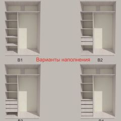 Шкаф-купе 1500 серии SILVER S3+S4+B2+PL4 (2 ящика+F обр.штанга) профиль «Серебро» в Кировграде - kirovgrad.mebel24.online | фото 5