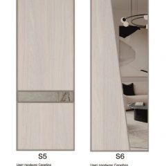 Шкаф-купе 1500 серии SILVER S3+S4+B2+PL4 (2 ящика+F обр.штанга) профиль «Серебро» в Кировграде - kirovgrad.mebel24.online | фото 11