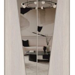 Шкаф-купе 1500 серии SILVER S3+S4+B2+PL4 (2 ящика+F обр.штанга) профиль «Серебро» в Кировграде - kirovgrad.mebel24.online | фото 12