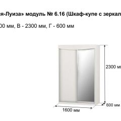 Шкаф-купе 1600 с зеркалом "Мария-Луиза 6.16" в Кировграде - kirovgrad.mebel24.online | фото 4