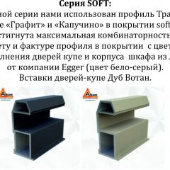 Шкаф-купе 1600 серии SOFT D8+D2+B2+PL4 (2 ящика+F обр.штанга) профиль «Графит» в Кировграде - kirovgrad.mebel24.online | фото 12