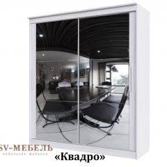 Шкаф-купе №19 Серия 3 Квадро (2000) Ясень Анкор светлый в Кировграде - kirovgrad.mebel24.online | фото