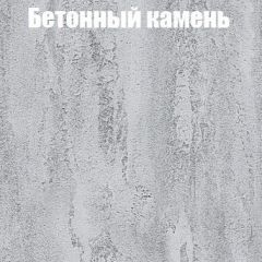 Шкаф-купе Бассо 1.0 (Дуб Крафт серый/Бетонный камень) 2 двери ЛДСП 2 зеркальные вставки в Кировграде - kirovgrad.mebel24.online | фото 3