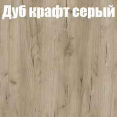 Шкаф-купе Бассо 1.0 (Дуб Крафт серый/Бетонный камень) 2 двери ЛДСП 2 зеркальные вставки в Кировграде - kirovgrad.mebel24.online | фото 4