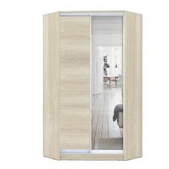 Шкаф-купе ХИТ-У-R-24-64-15 в Кировграде - kirovgrad.mebel24.online | фото 8