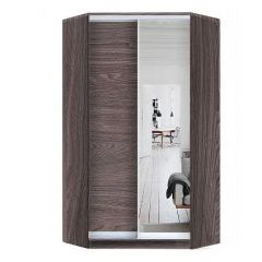 Шкаф-купе ХИТ-У-R-24-64-15 в Кировграде - kirovgrad.mebel24.online | фото 11
