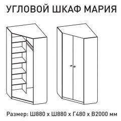 Шкаф угловой Мария 880*880 (ЛДСП 1 кат.) в Кировграде - kirovgrad.mebel24.online | фото 2