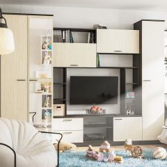 Стенка Марта 11 (Венге/Беленый дуб) в Кировграде - kirovgrad.mebel24.online | фото