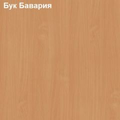 Стол-приставка Логика Л-2.07 (опора "Ронделла") в Кировграде - kirovgrad.mebel24.online | фото 2