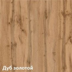 Вуди Шкаф для одежды 13.138 в Кировграде - kirovgrad.mebel24.online | фото 4