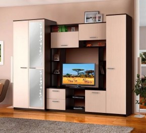 АЛЕКСАНДРА 10 Стенка в Кировграде - kirovgrad.mebel24.online | фото 2