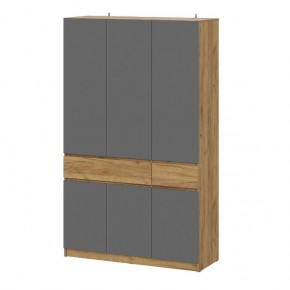 АВИНЬОН Прихожая (модульная) в Кировграде - kirovgrad.mebel24.online | фото 13