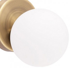 Бра Arte Lamp Bolla-piccolo A3989AP-1AB в Кировграде - kirovgrad.mebel24.online | фото