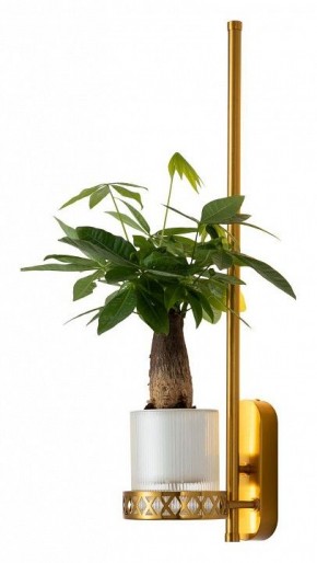 Бра Favourite Greenery 4050-1W в Кировграде - kirovgrad.mebel24.online | фото 3