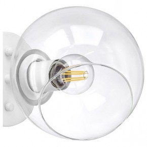 Бра Lightstar Beta 785616 в Кировграде - kirovgrad.mebel24.online | фото 5