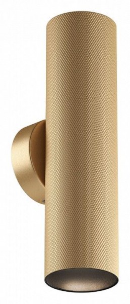Бра Maytoni Artisan C080WL-02-GU10-MG в Кировграде - kirovgrad.mebel24.online | фото