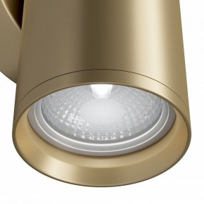 Бра Maytoni Focus S C068WL-02MG в Кировграде - kirovgrad.mebel24.online | фото 4
