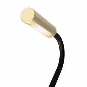 Бра Maytoni Stem C035WL-L3MG3K в Кировграде - kirovgrad.mebel24.online | фото 6