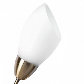 Бра MW-Light Нежность 7 356023001 в Кировграде - kirovgrad.mebel24.online | фото 2
