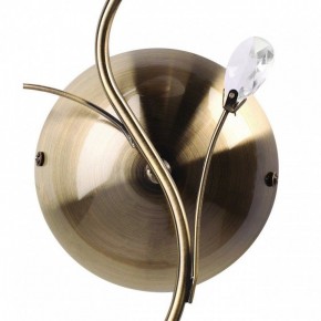 Бра MW-Light Нежность 7 356023001 в Кировграде - kirovgrad.mebel24.online | фото 3