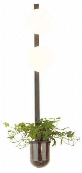 Бра Odeon Light Flower 4681/2WA в Кировграде - kirovgrad.mebel24.online | фото 3