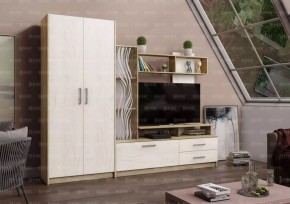 ДАРЬЯ Гостиная (Крафт серый/Крафт белый) в Кировграде - kirovgrad.mebel24.online | фото